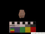 L_V23d1716 J1q641 Ux06 dM bl f32